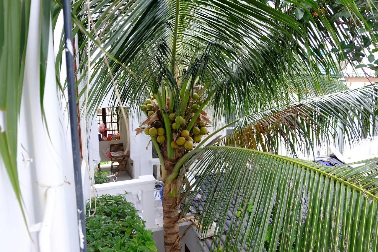 شقة Moon House Tropical Garden - Coconut نها ترانج فيتنام
