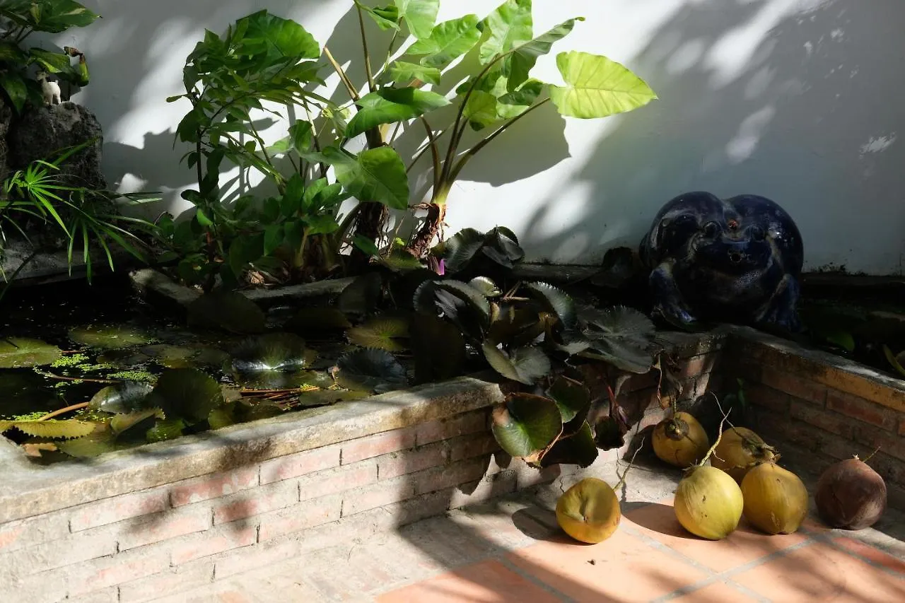 شقة Moon House Tropical Garden - Coconut نها ترانج